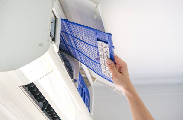 Best HVAC Air Duct Cleaning  in Lakeview, MI